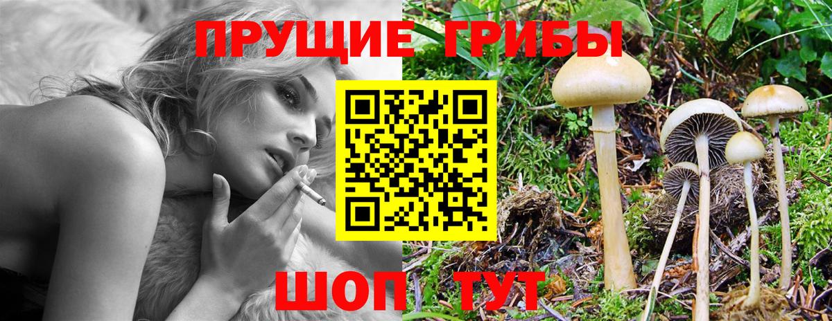 Псилоцибиновые грибы MAGIC MUSHROOMS Шахты